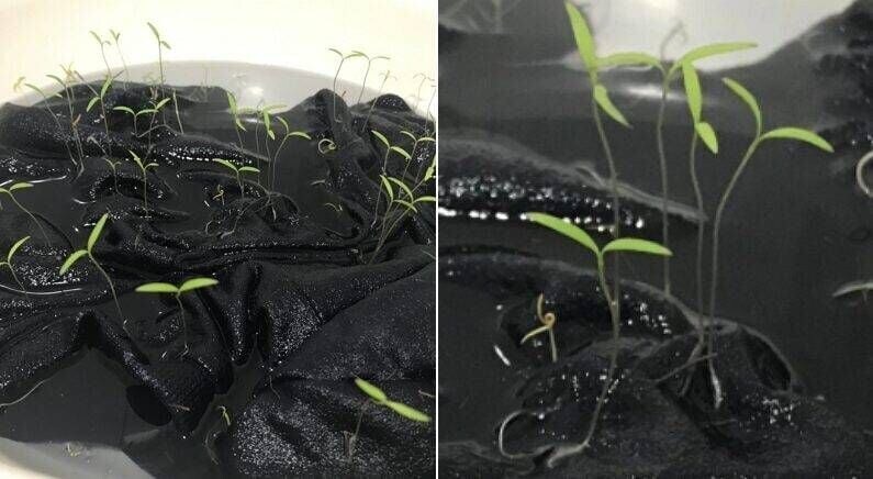 강아지 옷 빨려고 물에 담궈났더니_2.jpg