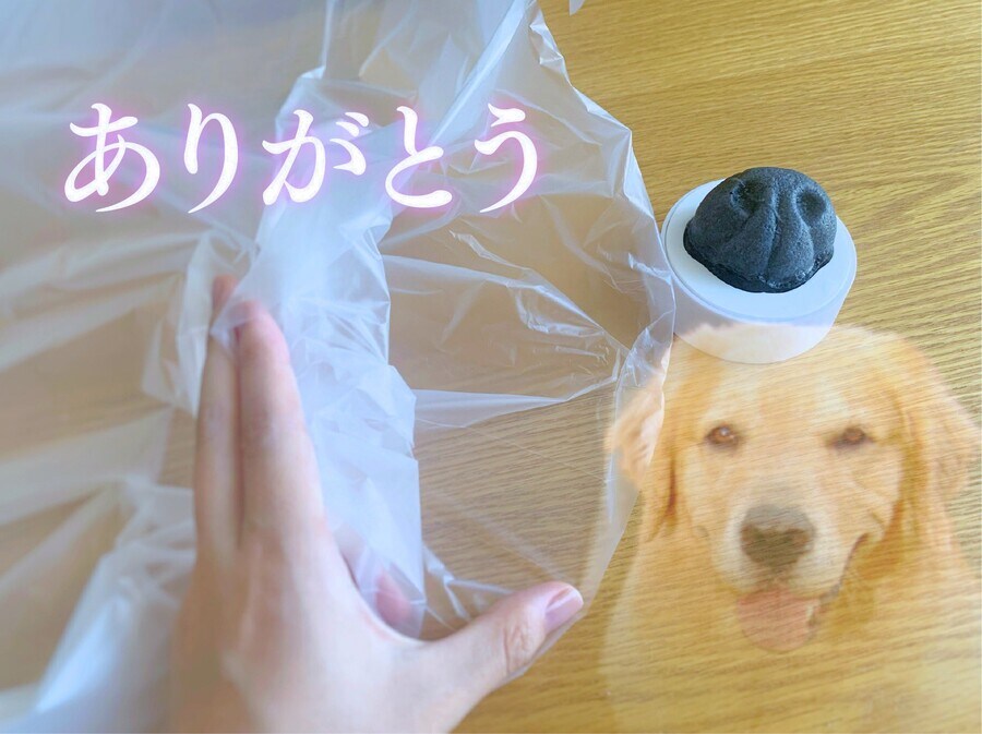 무수한 강아지들의 희생 ._3.jpg