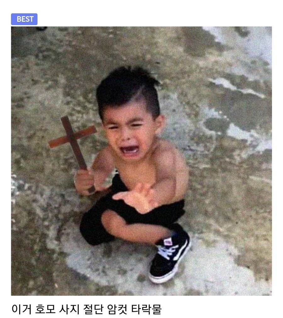 보추물을 너무 만만하게 본 디씨인.jpg_4.jpg