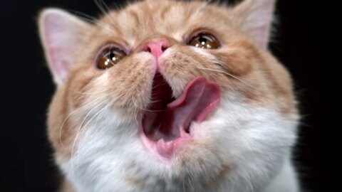 트릭컬) 1성 사도들 왔다아앗_5.jpg