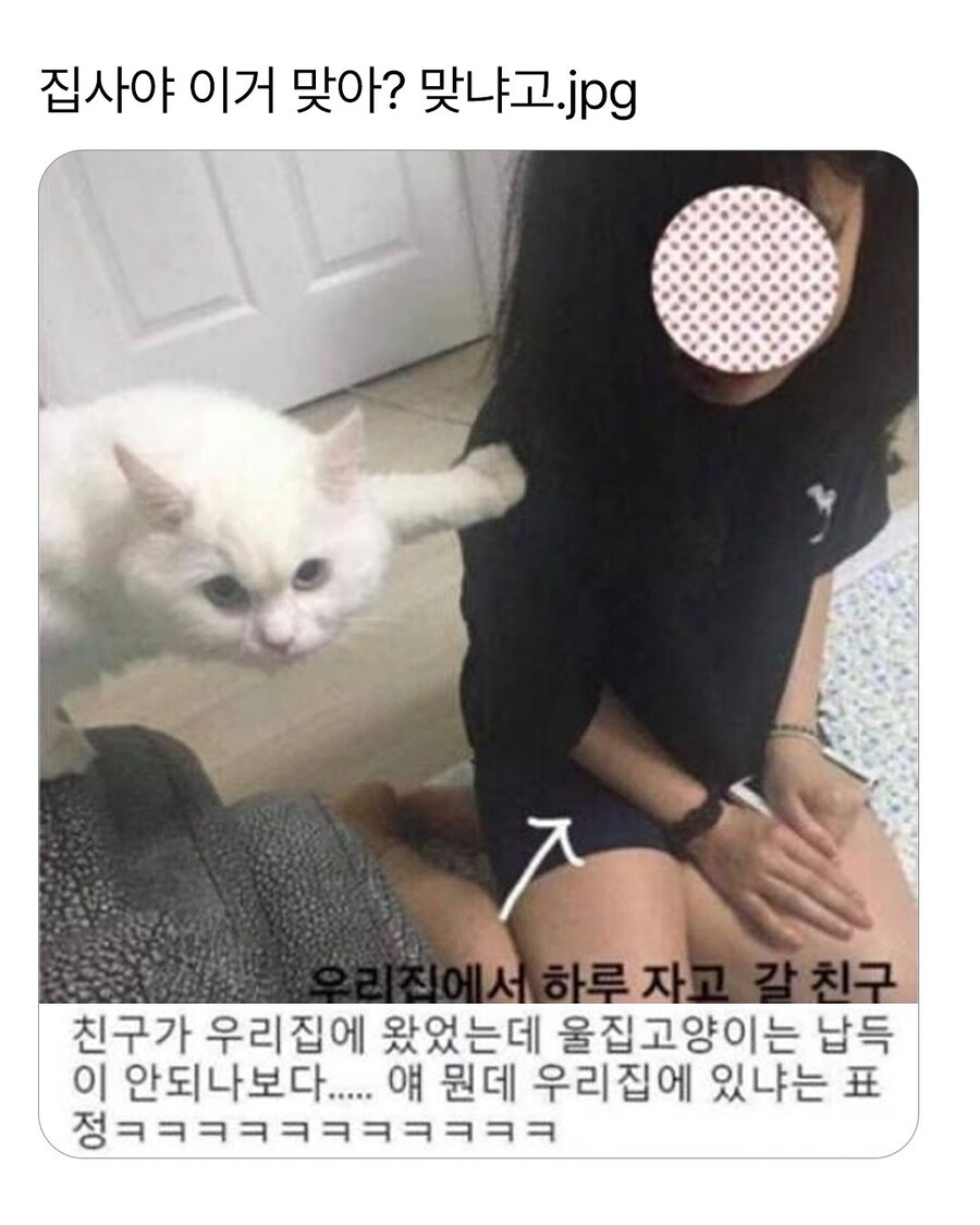 집사에게 눈으로 항의하는 애옹이_1.jpg