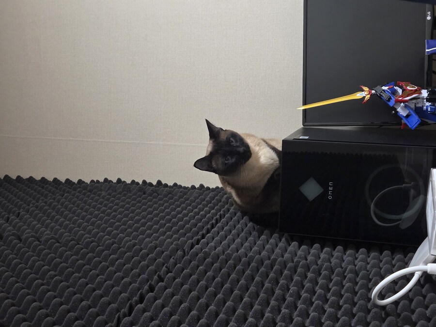 고양이 있는 집에서 고통받는 컴퓨터 ㅠㅠ_1.jpg