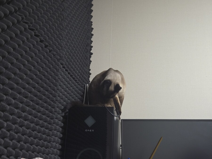 고양이 있는 집에서 고통받는 컴퓨터 ㅠㅠ_2.jpg