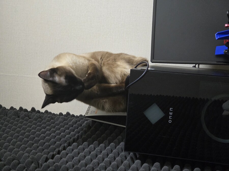 고양이 있는 집에서 고통받는 컴퓨터 ㅠㅠ_3.jpg