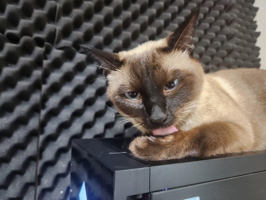 고양이 있는 집에서 고통받는 컴퓨터 ㅠㅠ_8.jpg