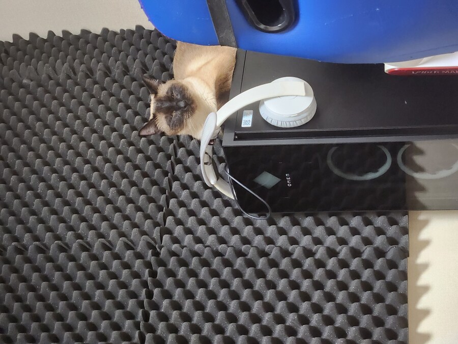 고양이 있는 집에서 고통받는 컴퓨터 ㅠㅠ_12.jpg