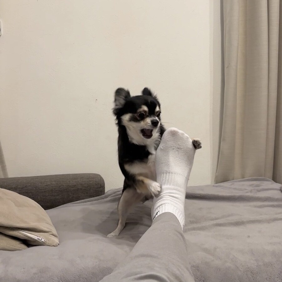 악취의 원인.jpg_1.jpg