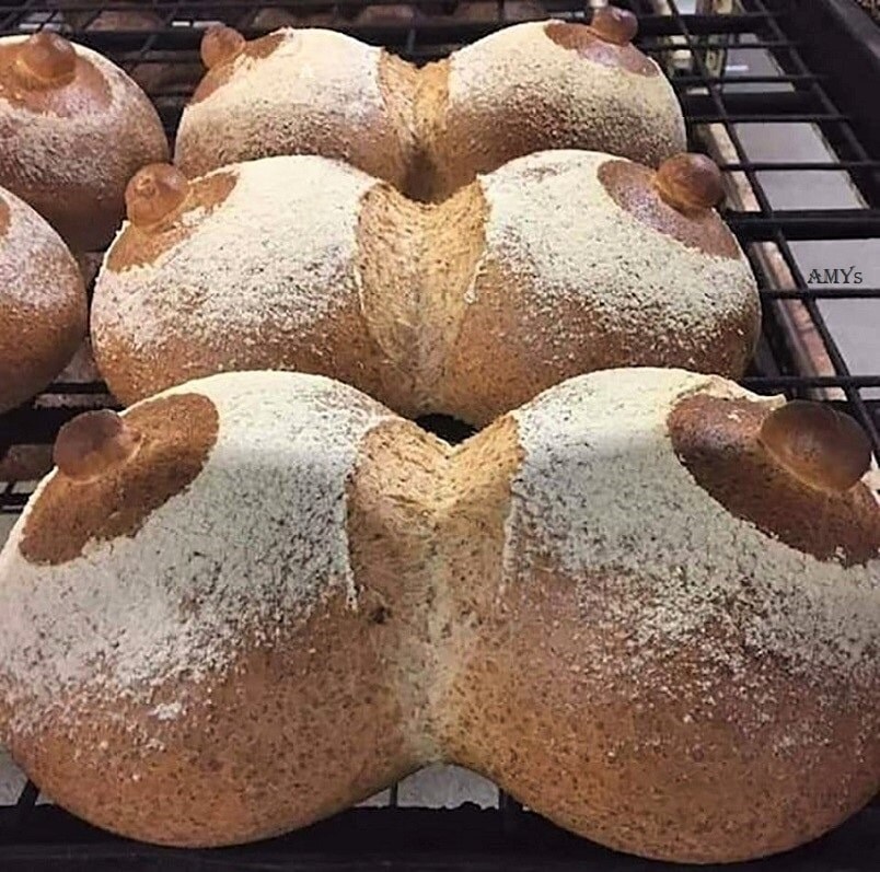 빵빵한 6렬 폭유 젖1통_1.jpg