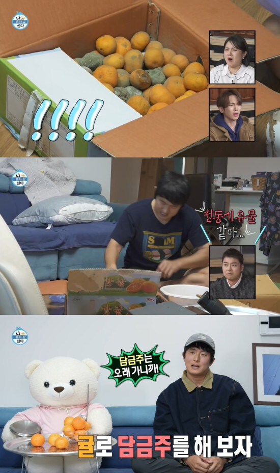 과일 담금주 만드는 방법_1.jpg