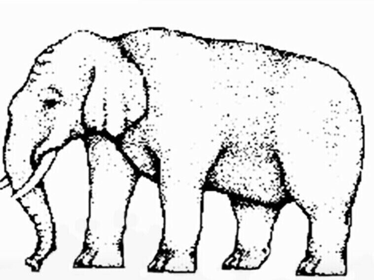 유명한 착시 사진들.jpg_2.jpg