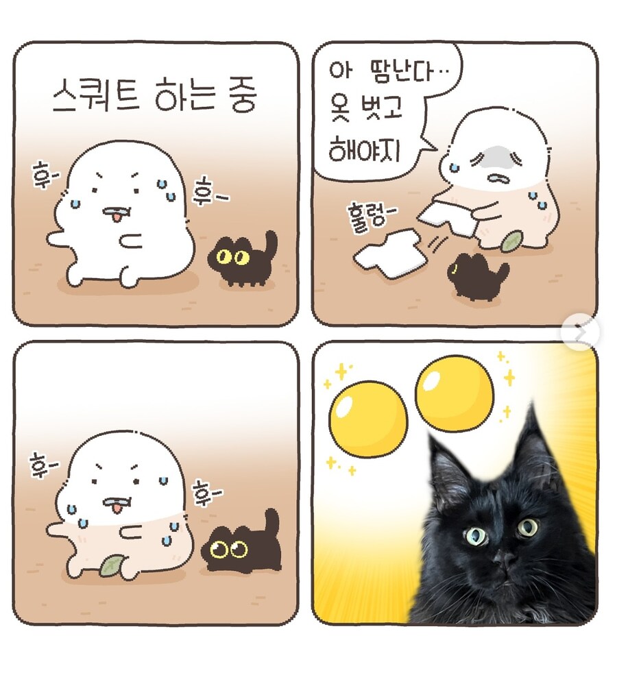 흔들리는게 있으면 치는 것이 고양이_1.jpg