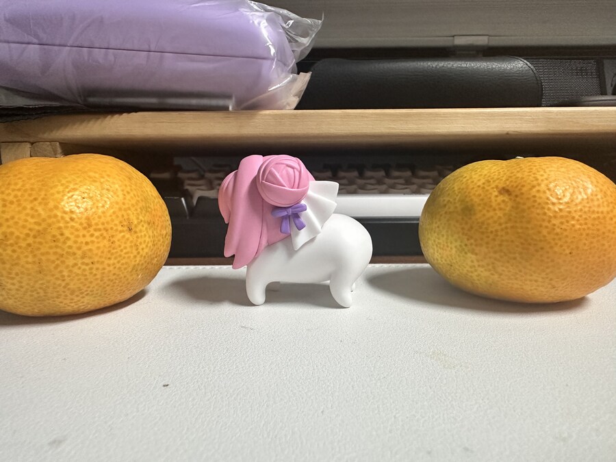 도로롱 모르는 사람이 산 도로롱 보고가셈_2.jpg