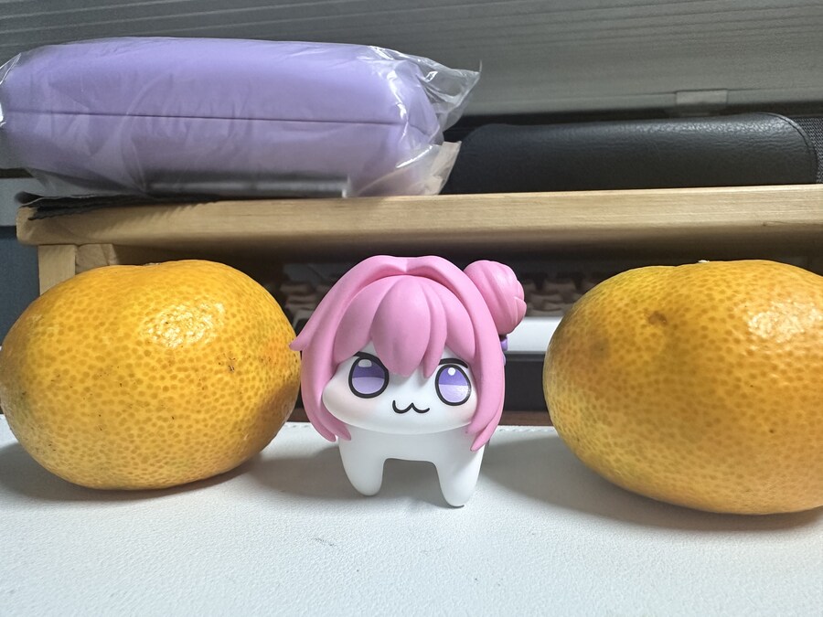 도로롱 모르는 사람이 산 도로롱 보고가셈_3.jpg