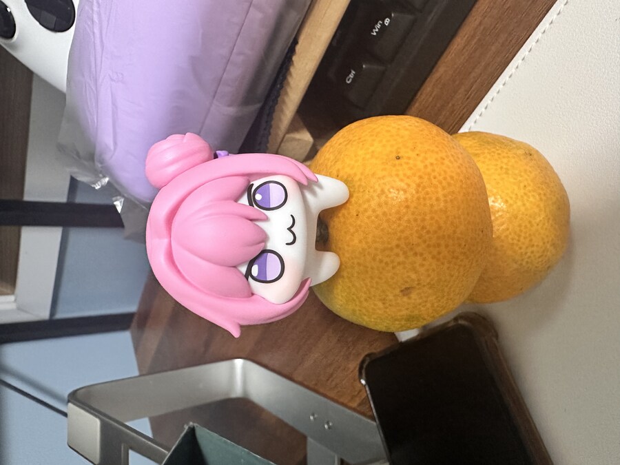 도로롱 모르는 사람이 산 도로롱 보고가셈_4.jpg