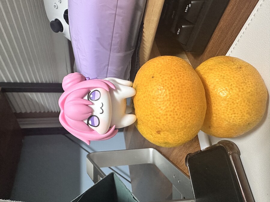 도로롱 모르는 사람이 산 도로롱 보고가셈_5.jpg