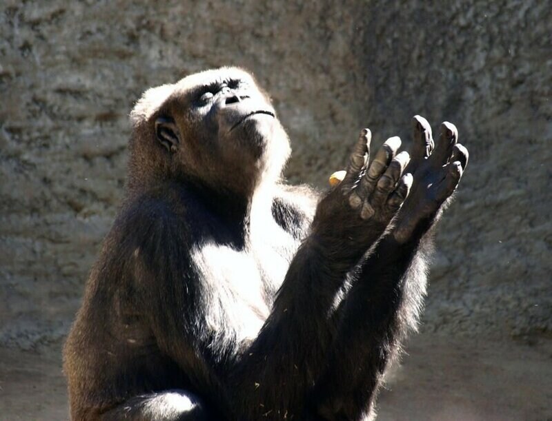 이제는 원본이 어색한 그 사진들_2.jpg