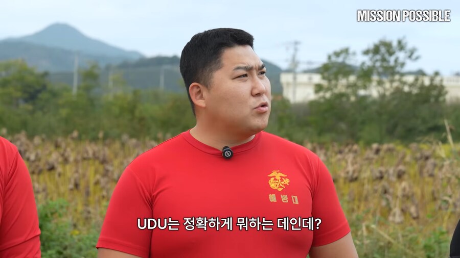 UDU와 UDT의 뜻_3.png