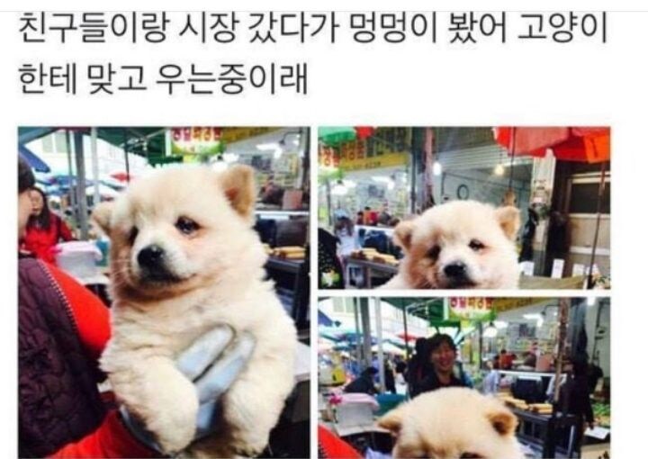 시장이 위험한 이유.jpg_1.jpg