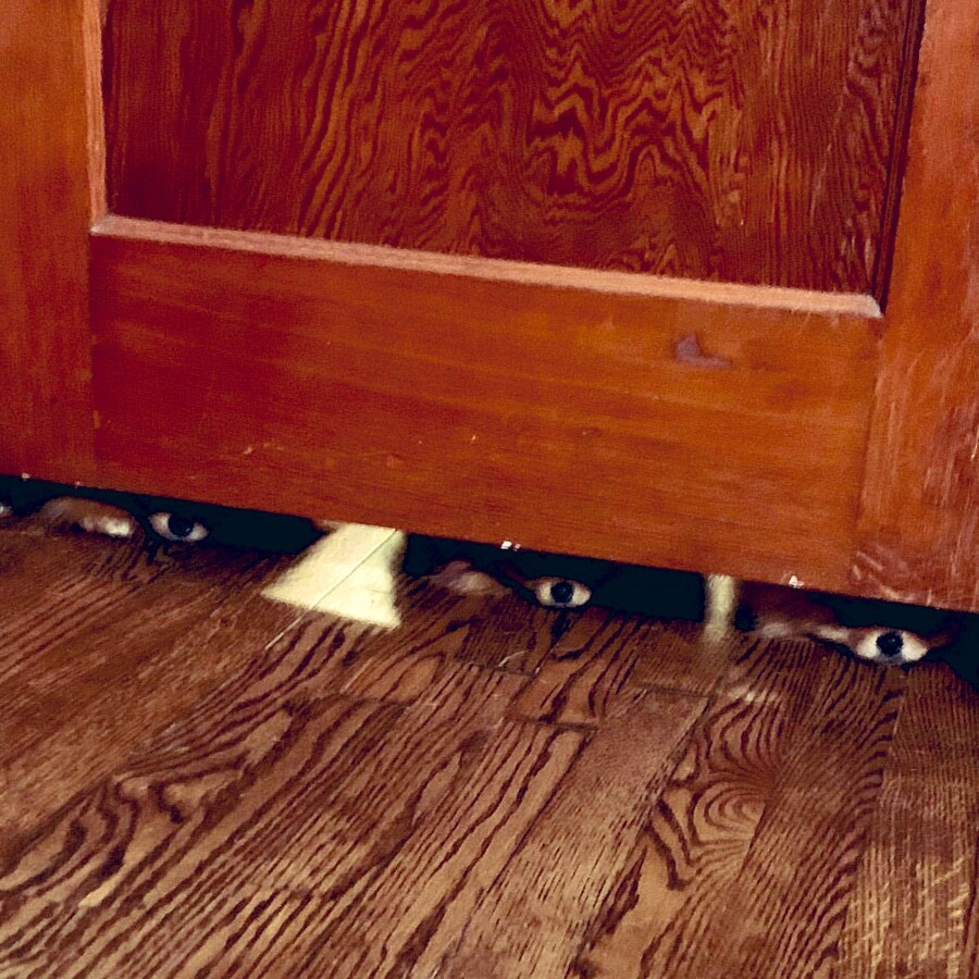 어느날 집에서 문너머 시선을 느낀사람 .jpg_2.jpg