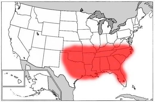 슈퍼맨의 능력이 개쩔어서 슈퍼맨이 아니다_1.png