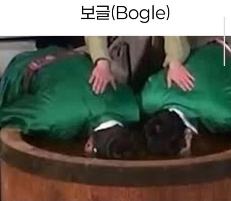 한국의 전통있는 검색엔진들_1.jpg