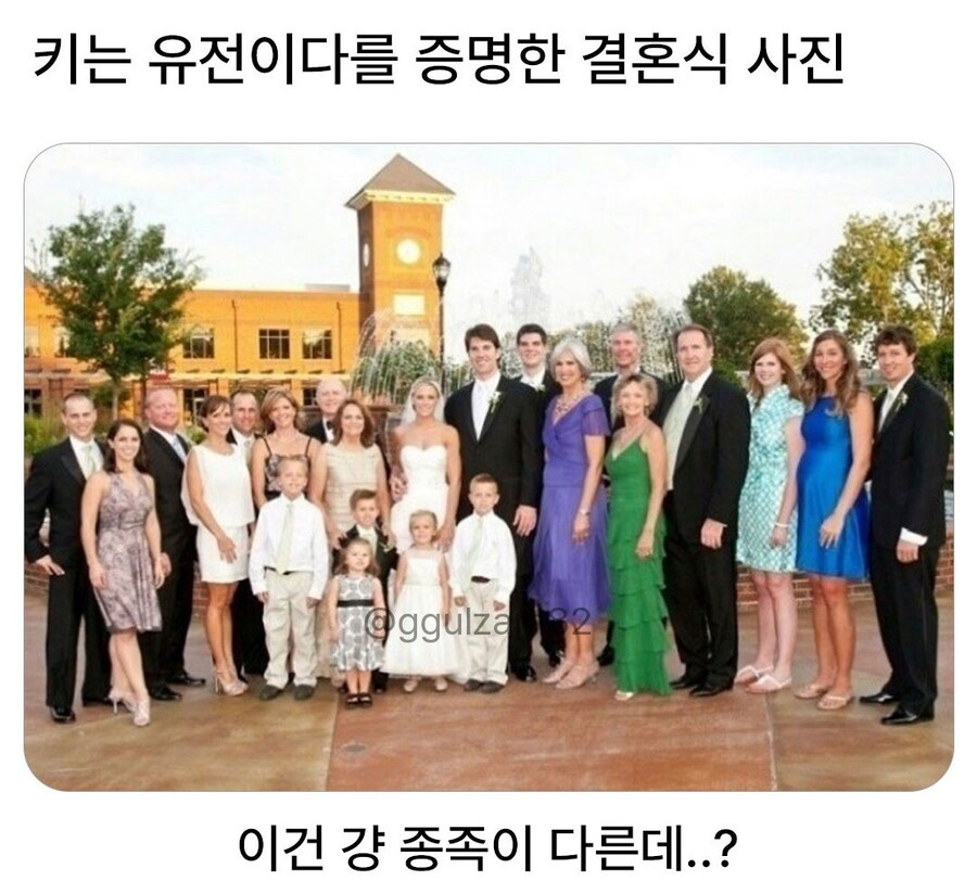 키는 유전이다를 증명한 결혼식 사진.jpg_1.jpg