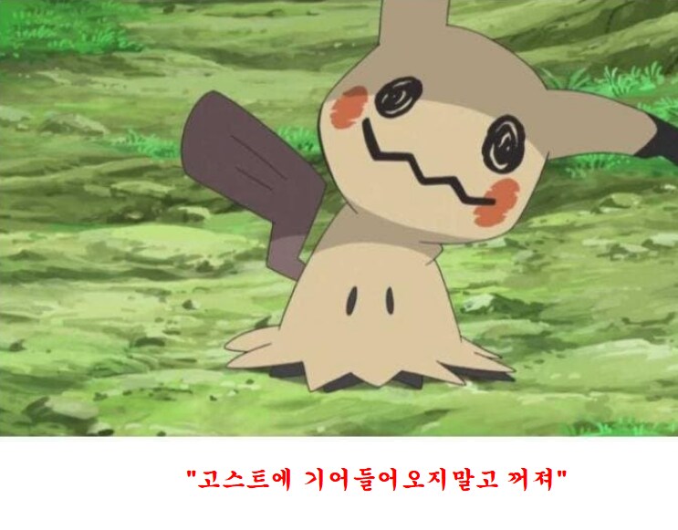새로운 포켓몬 등장에 뒤집어진 팬덤.jpg_5.png