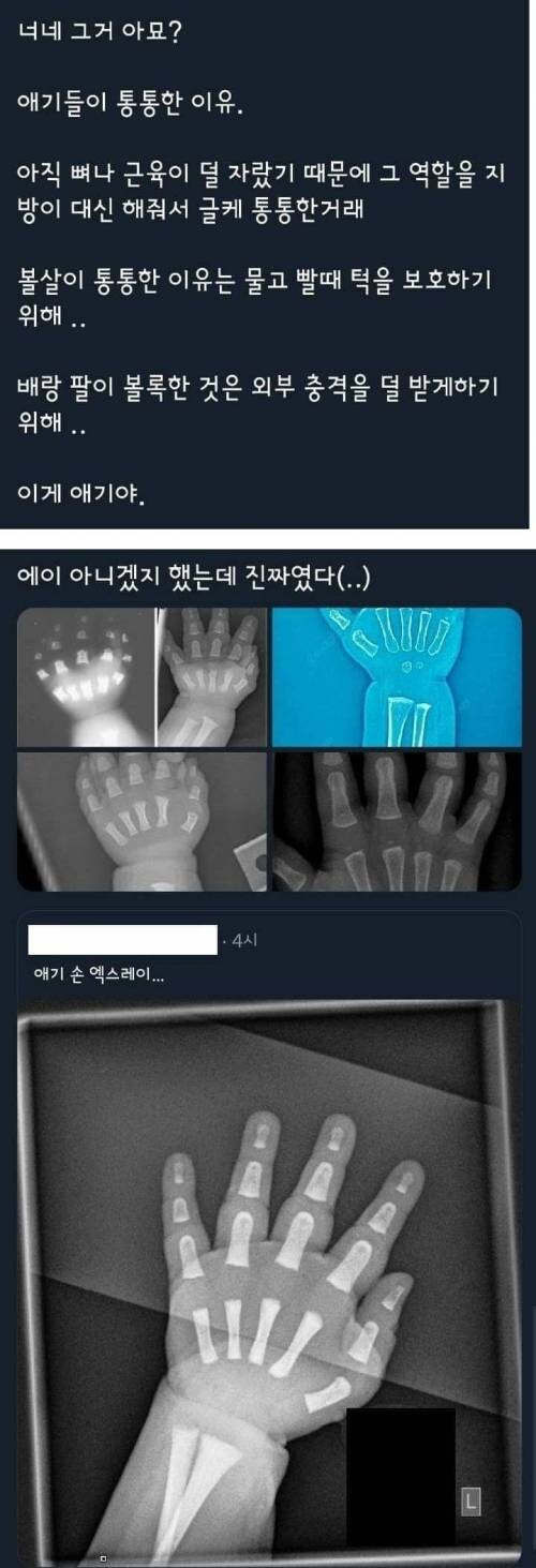 애기들이 통통한 이유.jpg_1.jpg