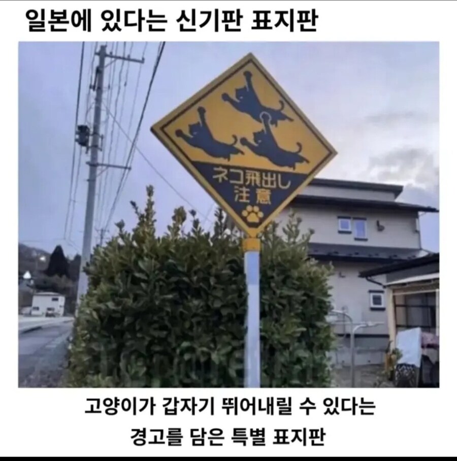 모든 안전 수칙은 피로 쓰여진다의 예시.jpg_1.jpg