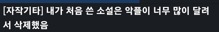 소설 썼다가 악플 때문에 상처받았다는 디씨인_1.jpg