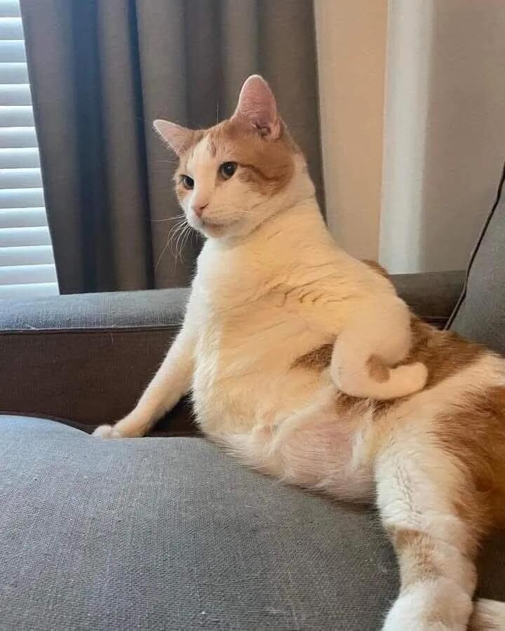 오빠 나야 저년이야 ??_1.jpg