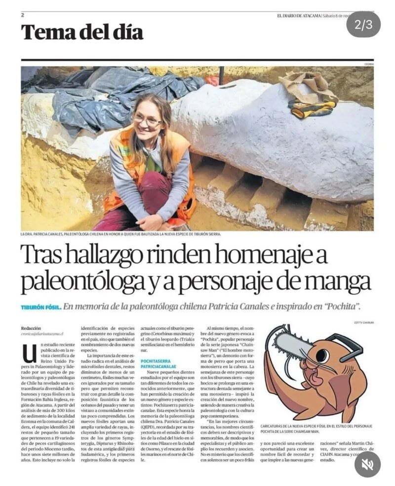 체인소 샤크_1.jpg