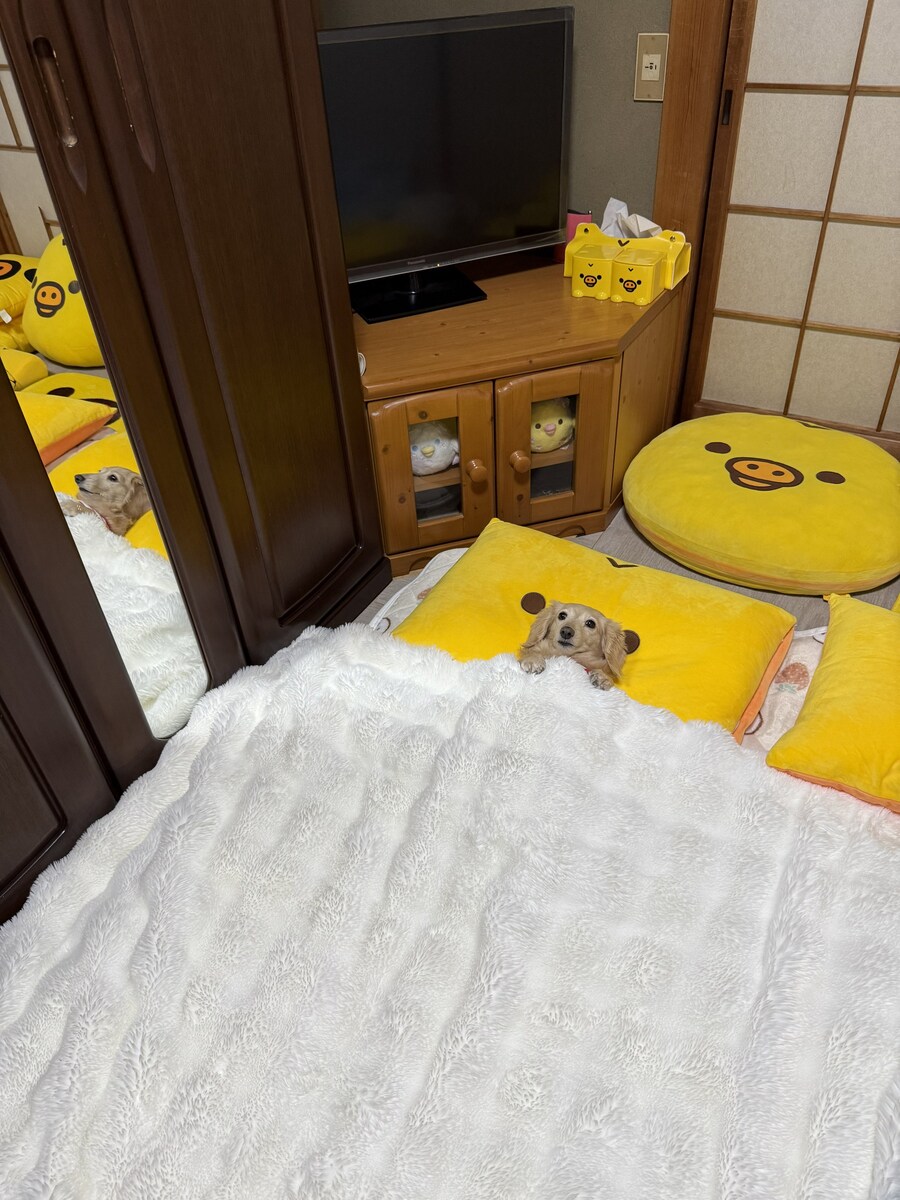 개편안한 잠자리.jpg_1.jpg