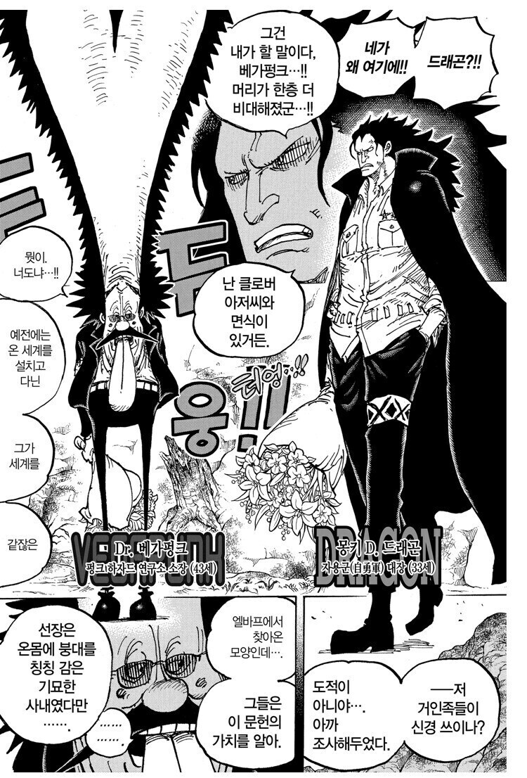 원피스 중요한 떡밥 일수도 있는걸 숨기는 방법_1.jpg