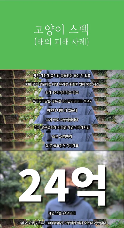 ??? : 새는 길고양이보다 사람들 유리벽이 더 많이 죽인다구요!_1.webp