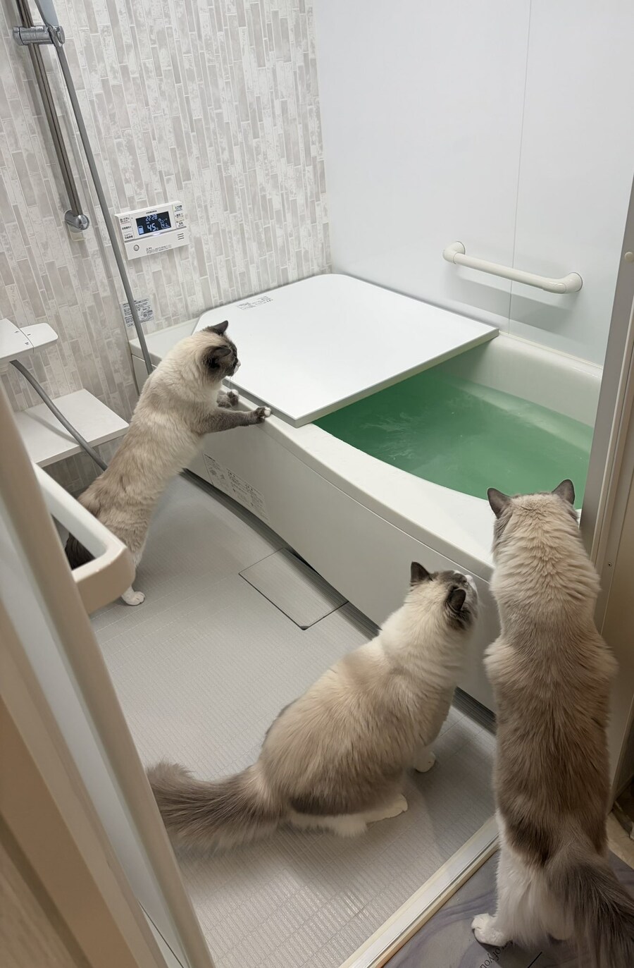 목욕탕에 모인 주인님들.jpg_1.jpg