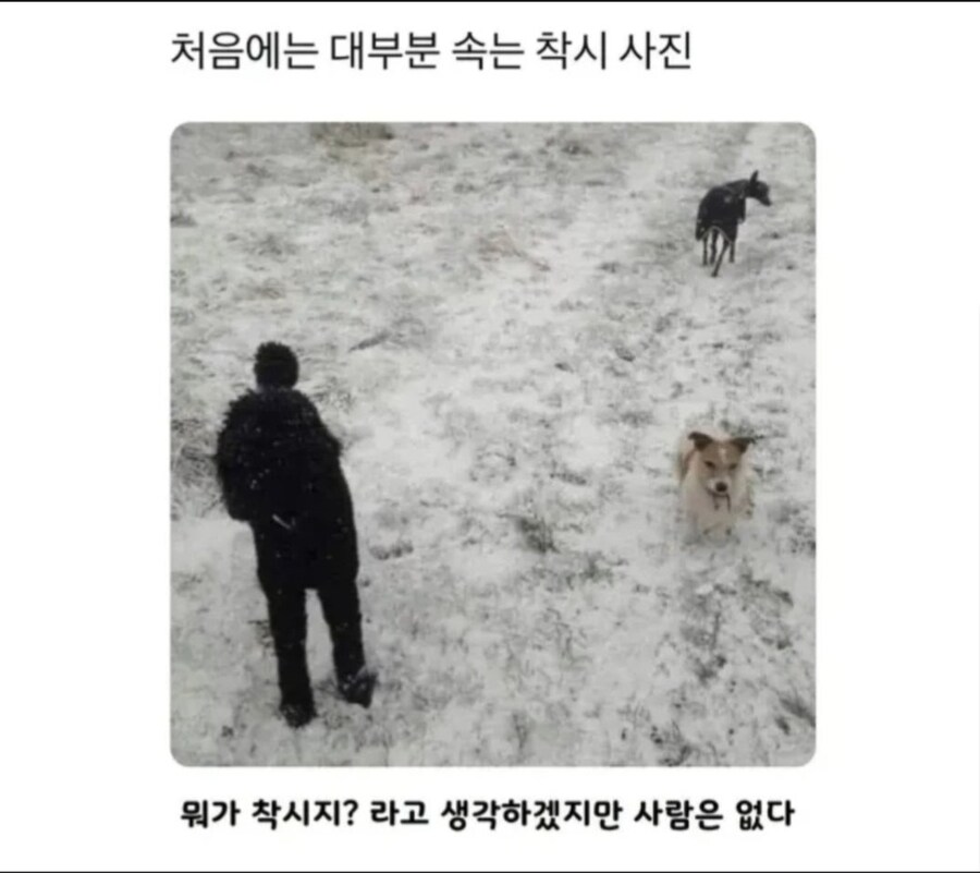 처음에는 대부분 속는 착시 사진_1.jpg