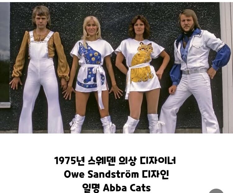 뭔가 기시감이 느껴지는 슈퍼스타 아바의 무대의상_1.jpg