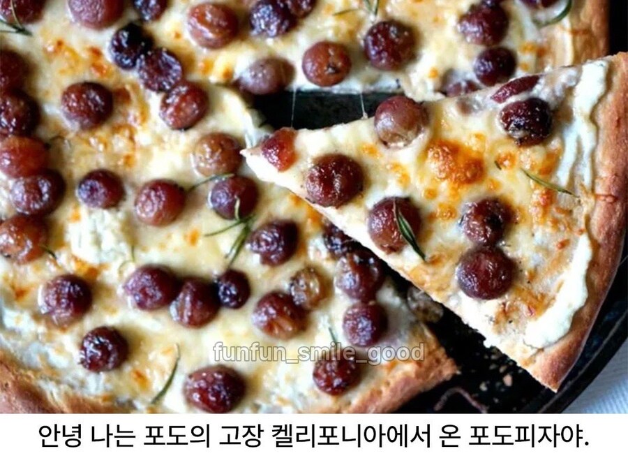 하와이안 파인애플 피자? 그녀석은 우리중 최약체였지_2.jpg