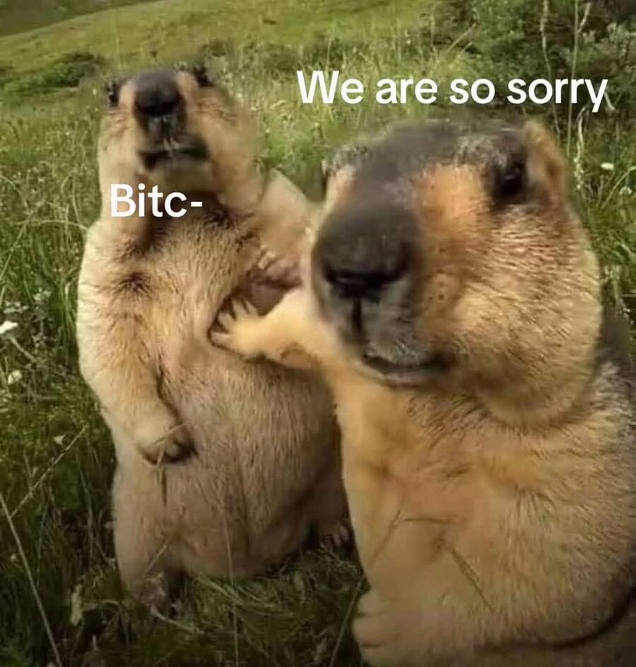 시비가 붙었을 때의 두 타입_1.jpg