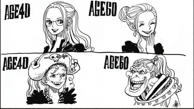 원피스 113권 sbs의 비비보고 생긴 궁금증_1.webp