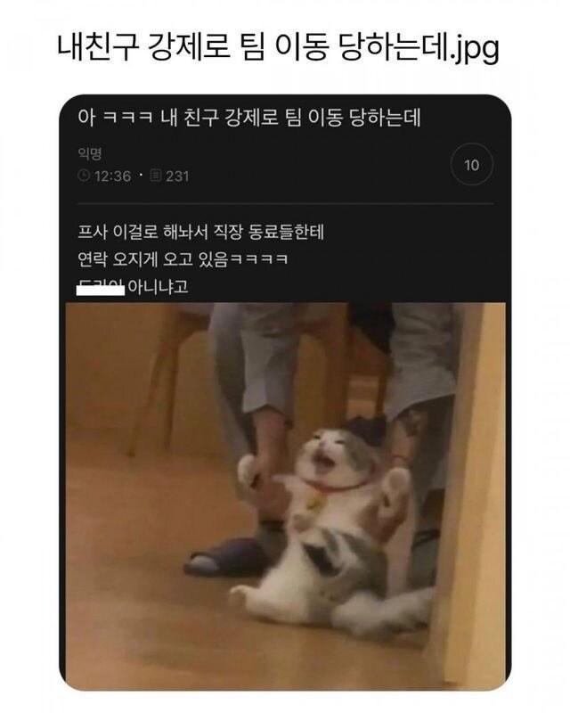 강제로 팀 이동 당한 친구.img_1.jpg