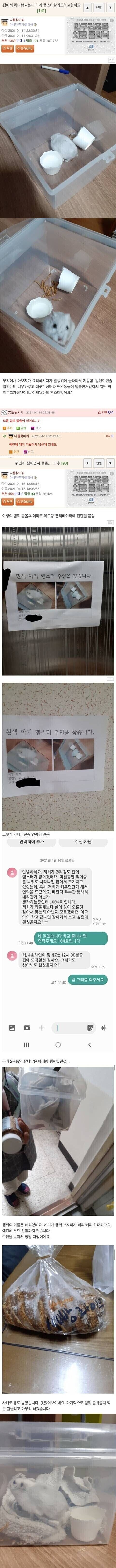 집에서 쥐가 나왔는데 햄스터 같아_1.jpg