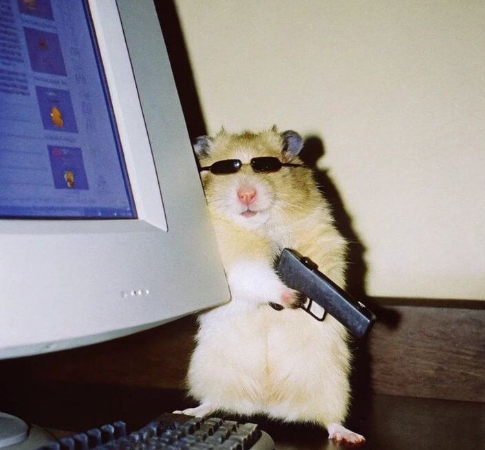 쥐포수 익스피어리언스.jpg_1.jpg