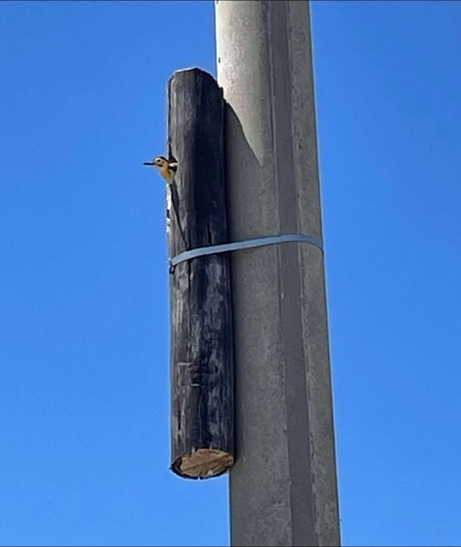 인간과 자연, 미래의 공존_1.jpg