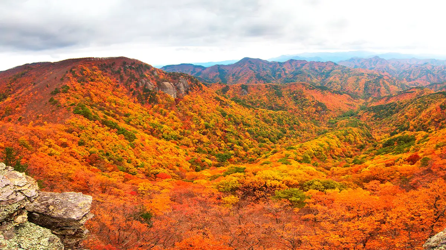 서울 촌놈들은 모르는 부산 풍경들_3.webp