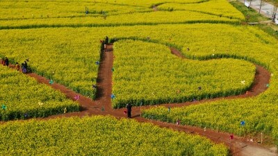 서울 촌놈들은 모르는 부산 풍경들_7.jpg