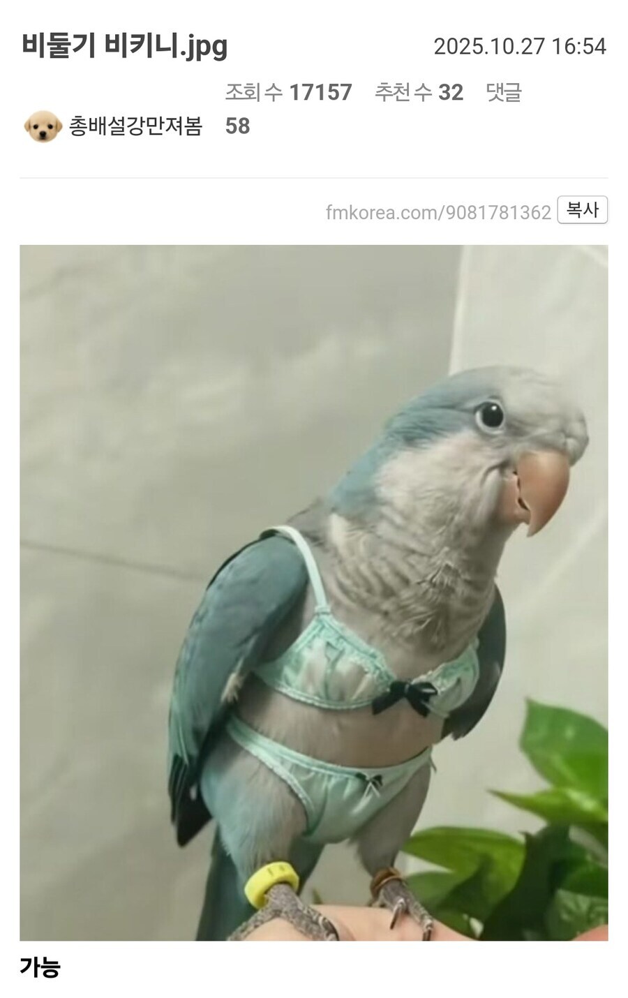 결혼? 고독? 모든걸 잊게 해줄 비키니짤 투척_1.png