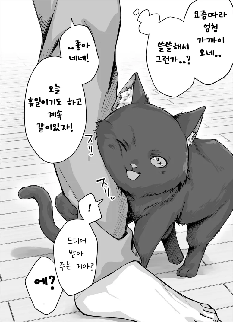 독점욕이 너무 심한 얀데레 반려묘_15.webp