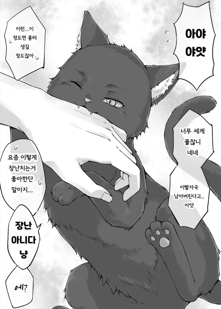 독점욕이 너무 심한 얀데레 반려묘_19.webp